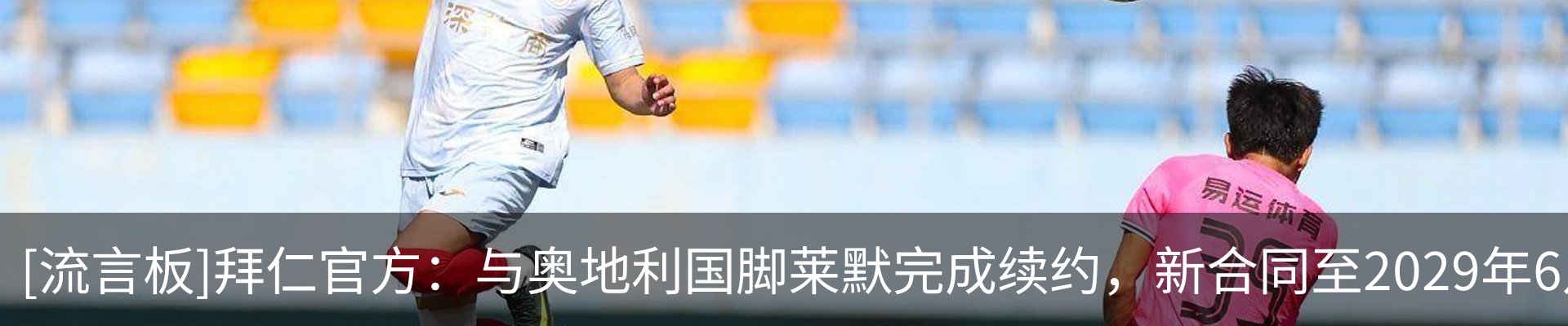 新闻动态